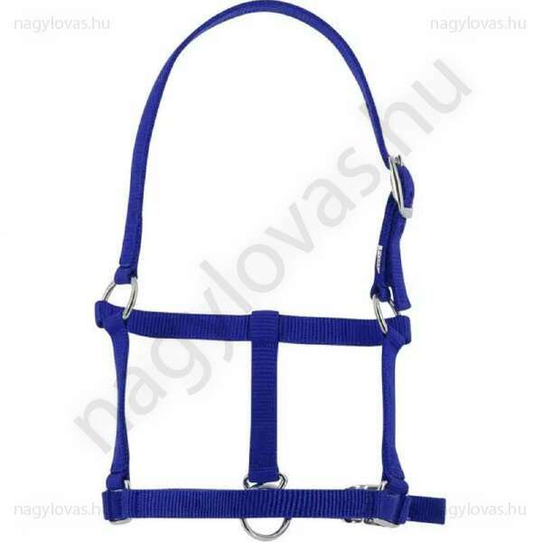 Riding World csikó kötőfék kék