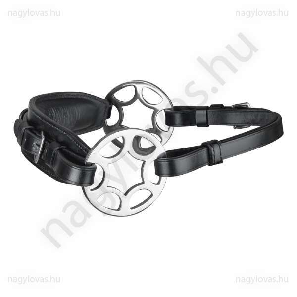 Waldhausen hackamore