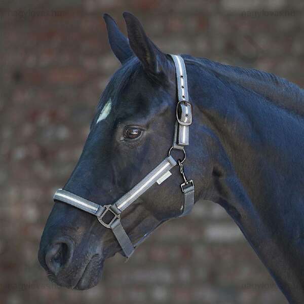 Waldhausen Reflex fényvisszaverő kötőfék